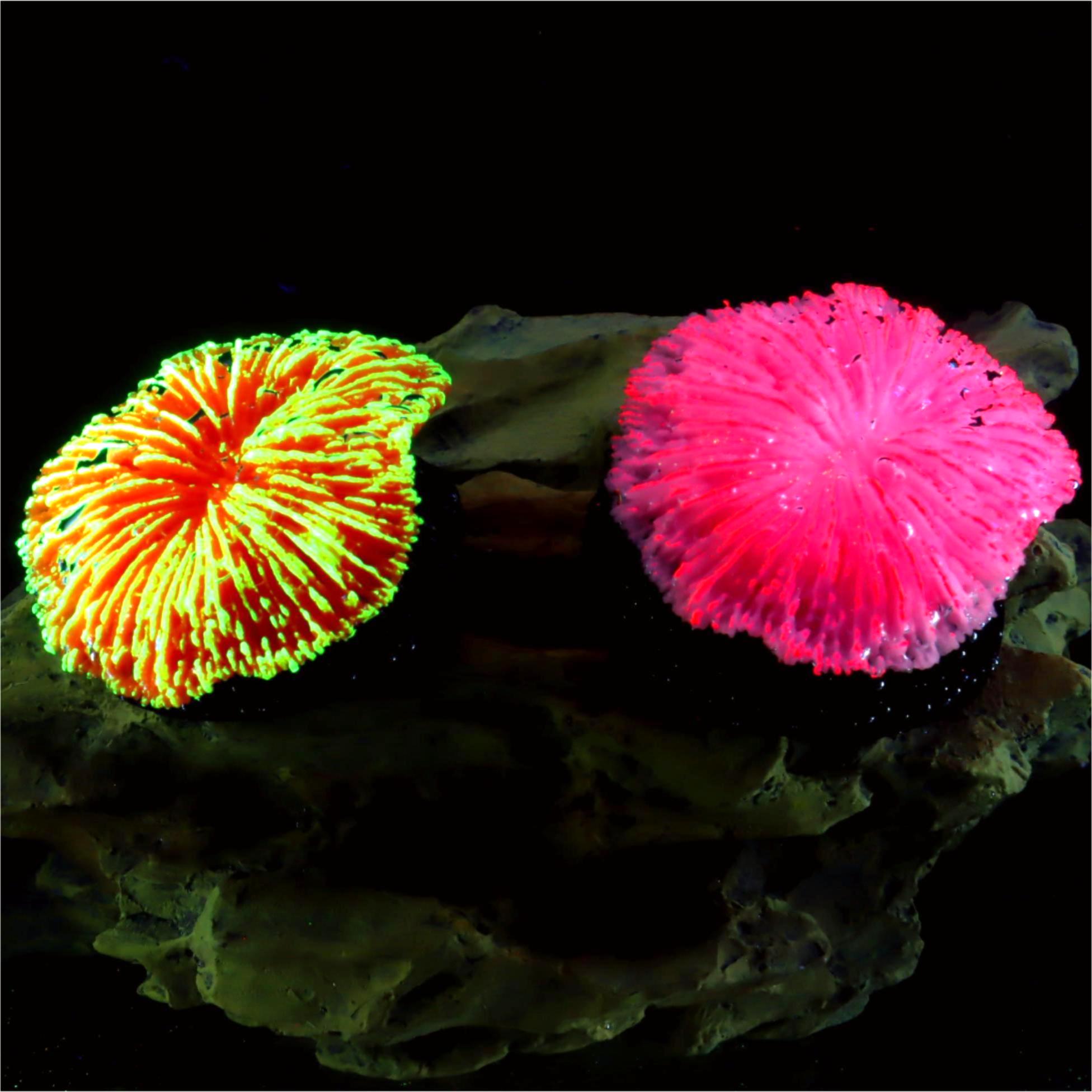 Live Plant Aquarium - 1 sztuka – dekoracja do akwarium