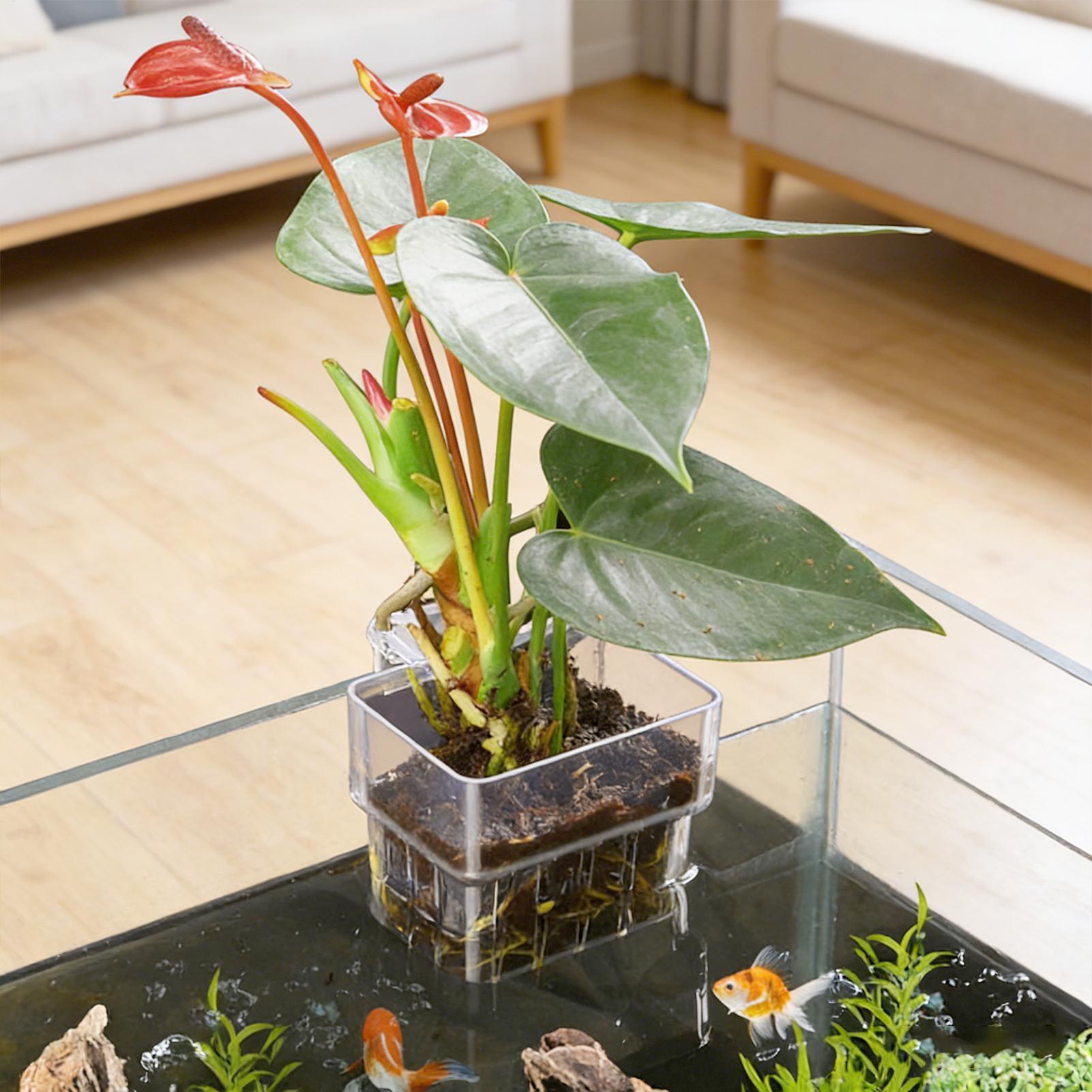 Plant Aquarium Pot - Kosz na rośliny akwariowe Przezroczysty wiszący