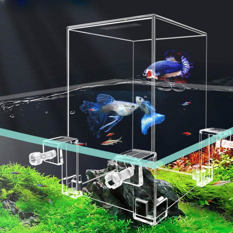 Plant Aquarium Pot - Kreatywne akwarium zbiorniki na ryby podciśnieniowe