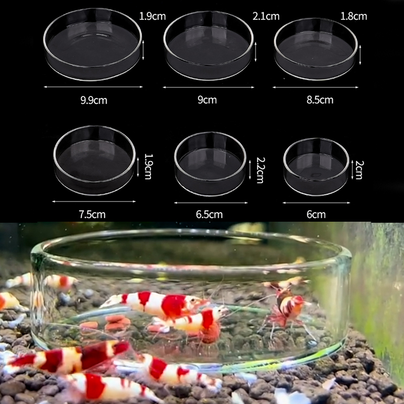 Aquarium Fertilizer - Miseczka do karmienia krewetek, przezroczysta szklana