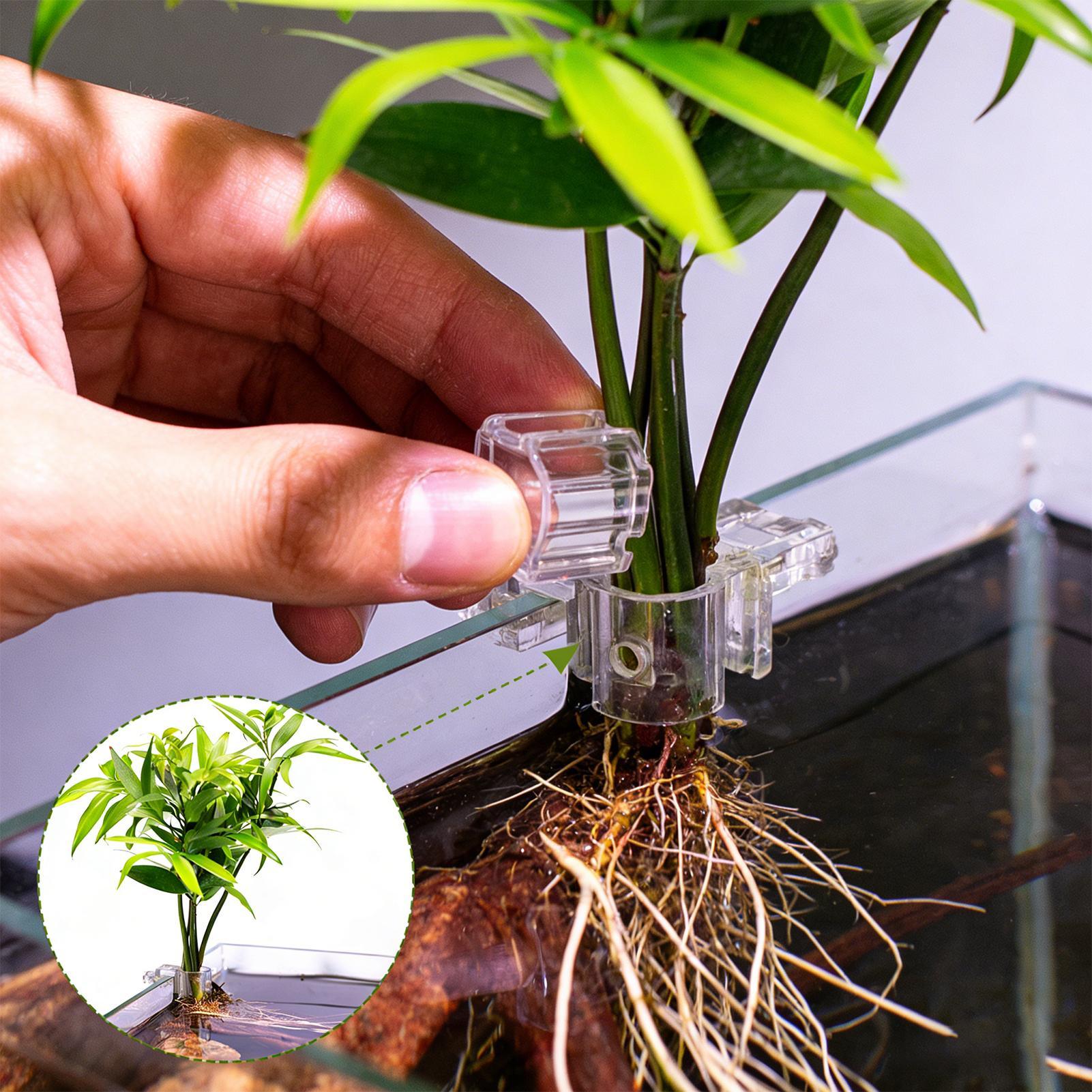 Aquarium Plants Live - 6 szt. Przezroczyste uchwyty do roślin