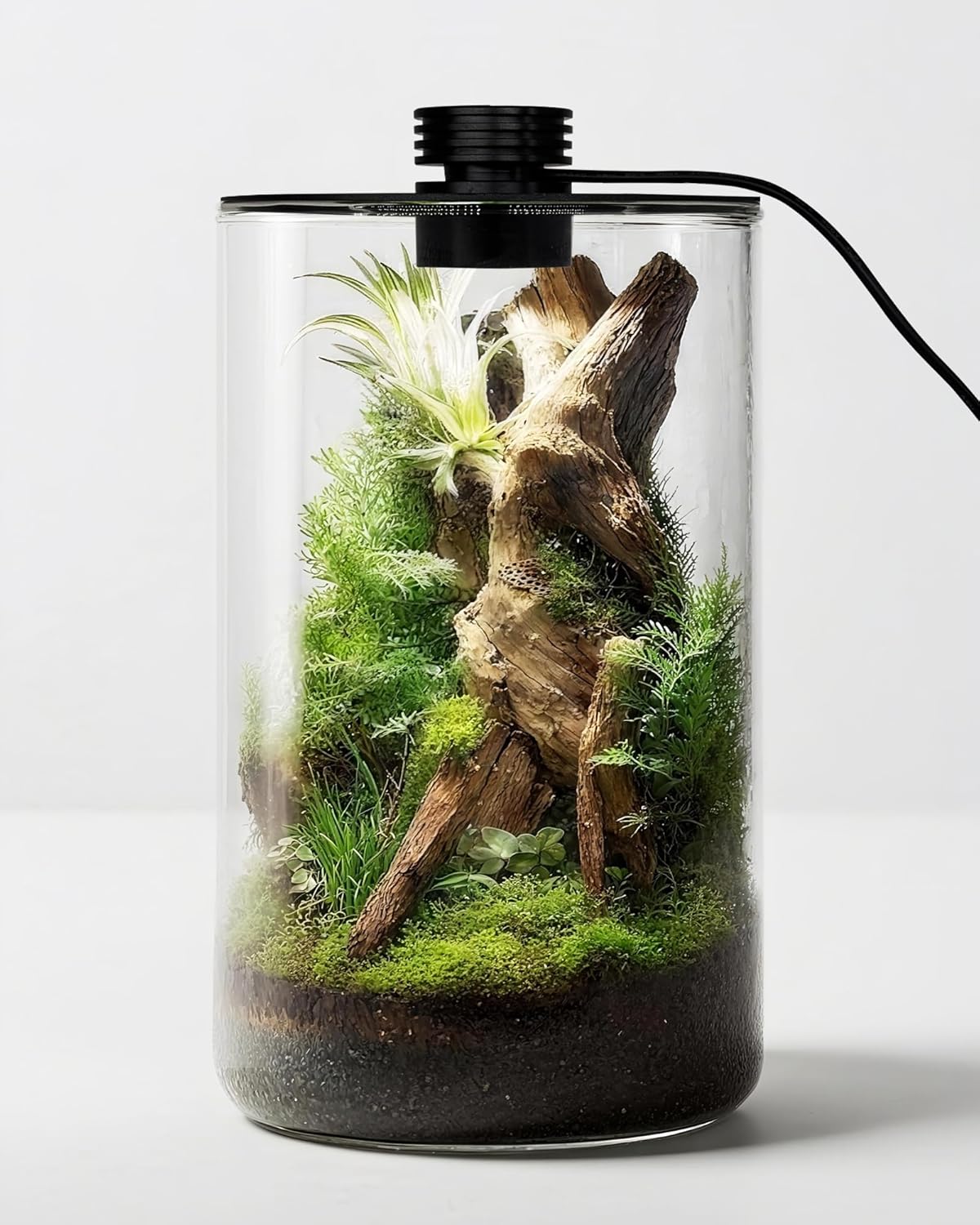 Planted Tank - Szklane terrarium wewnętrzne z lampą do