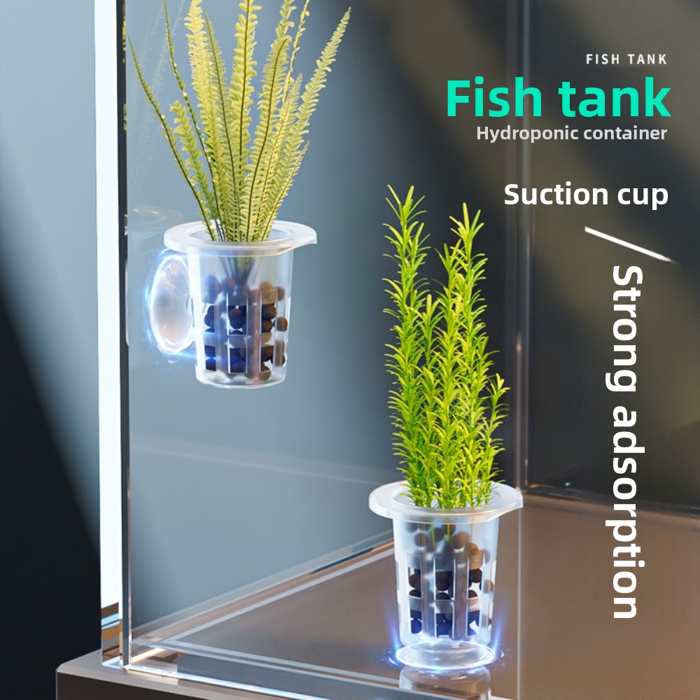 10 szt. Przezroczyste doniczki – Plant Aquarium Pot recenzja i cena