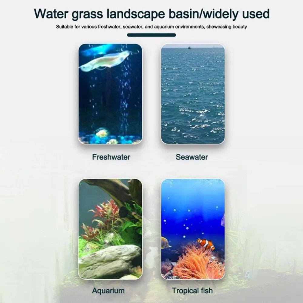 10 szt. Przezroczyste doniczki – Plant Aquarium Pot recenzja i cena