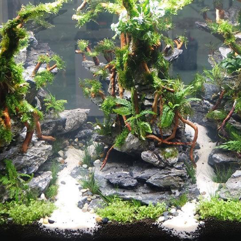 Naturalny korzeń drzewa z drew – Aquarium Driftwood recenzja i cena