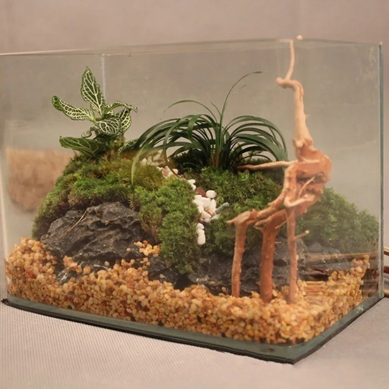 Naturalne drzewo pnia Driftwoo – Aquarium Plant Substrate recenzja i cena