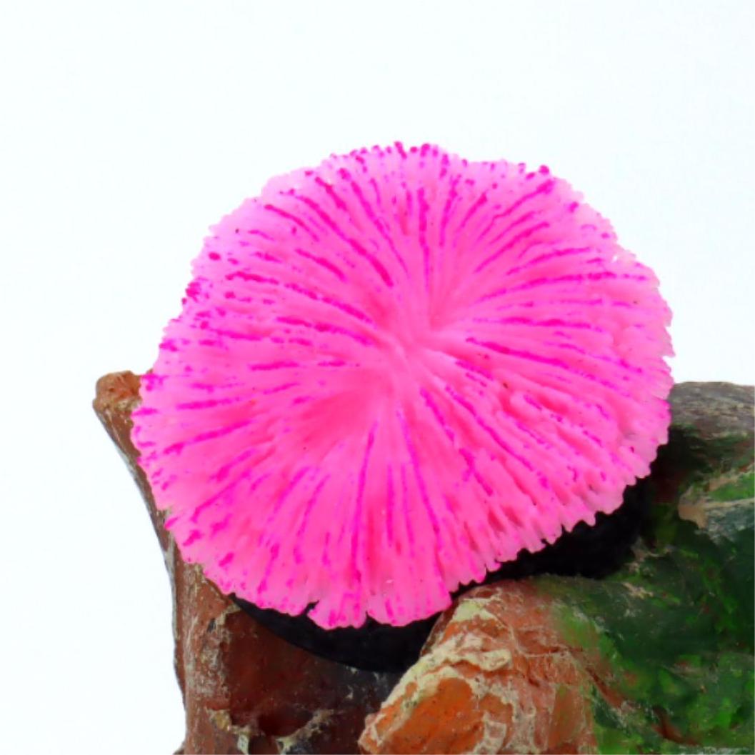 1 sztuka – dekoracja do akwari – Live Plant Aquarium recenzja i cena