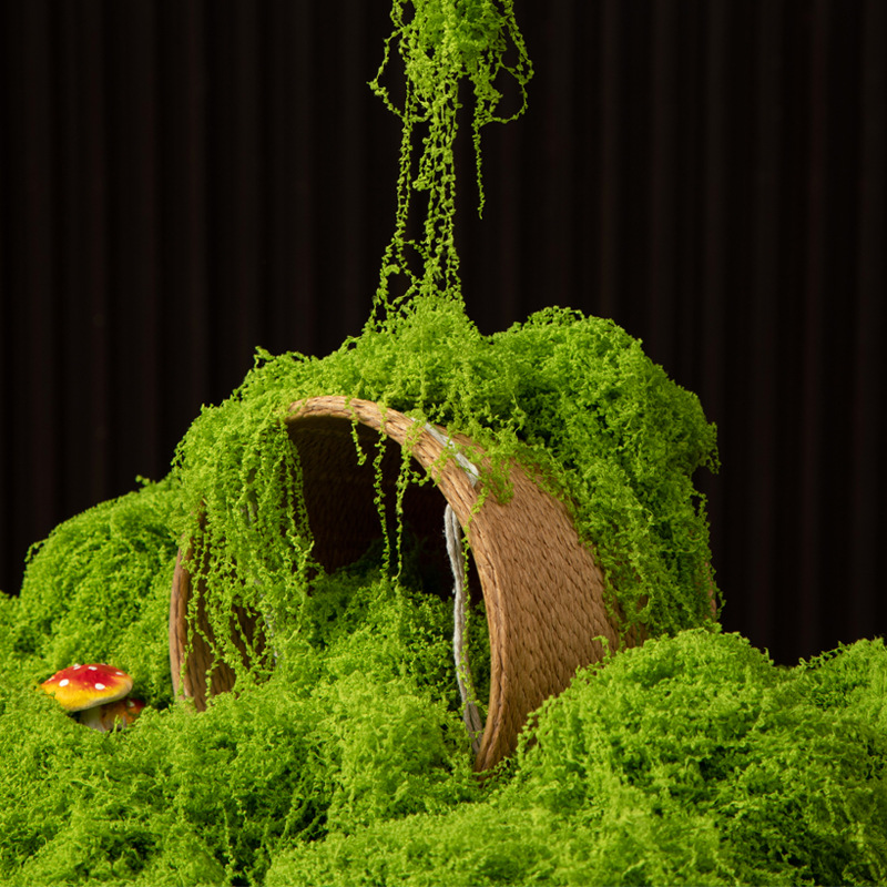 200g Mech Wiecznego Życia DIY  – Aquarium Moss recenzja i cena