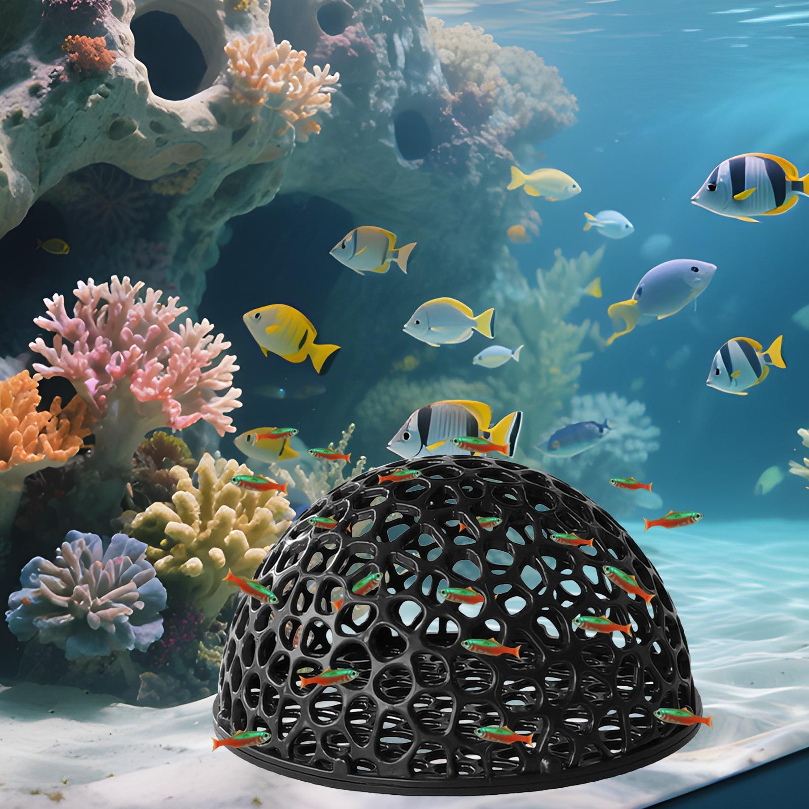 Akwarium Ukryte Gniazdo Jaskin – Aquarium Plants Live recenzja i cena