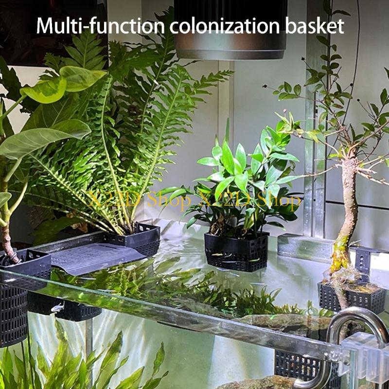 X22D Nowoczesny, starożytny st – Aquarium Plant Holder recenzja i cena