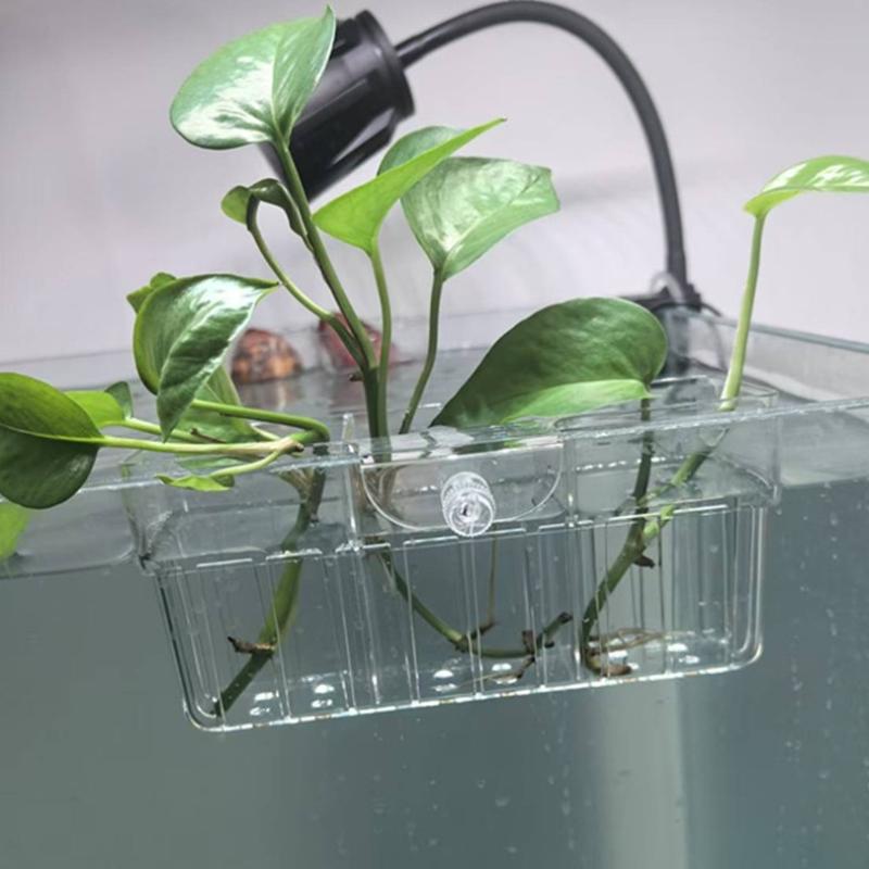 Hydroponiczny koszyk na roślin – Planted Tank recenzja i cena