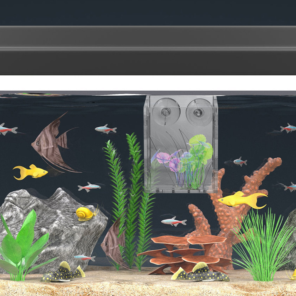 3 sztuki – przezroczyste, wisz – Plant Aquarium Pot recenzja i cena