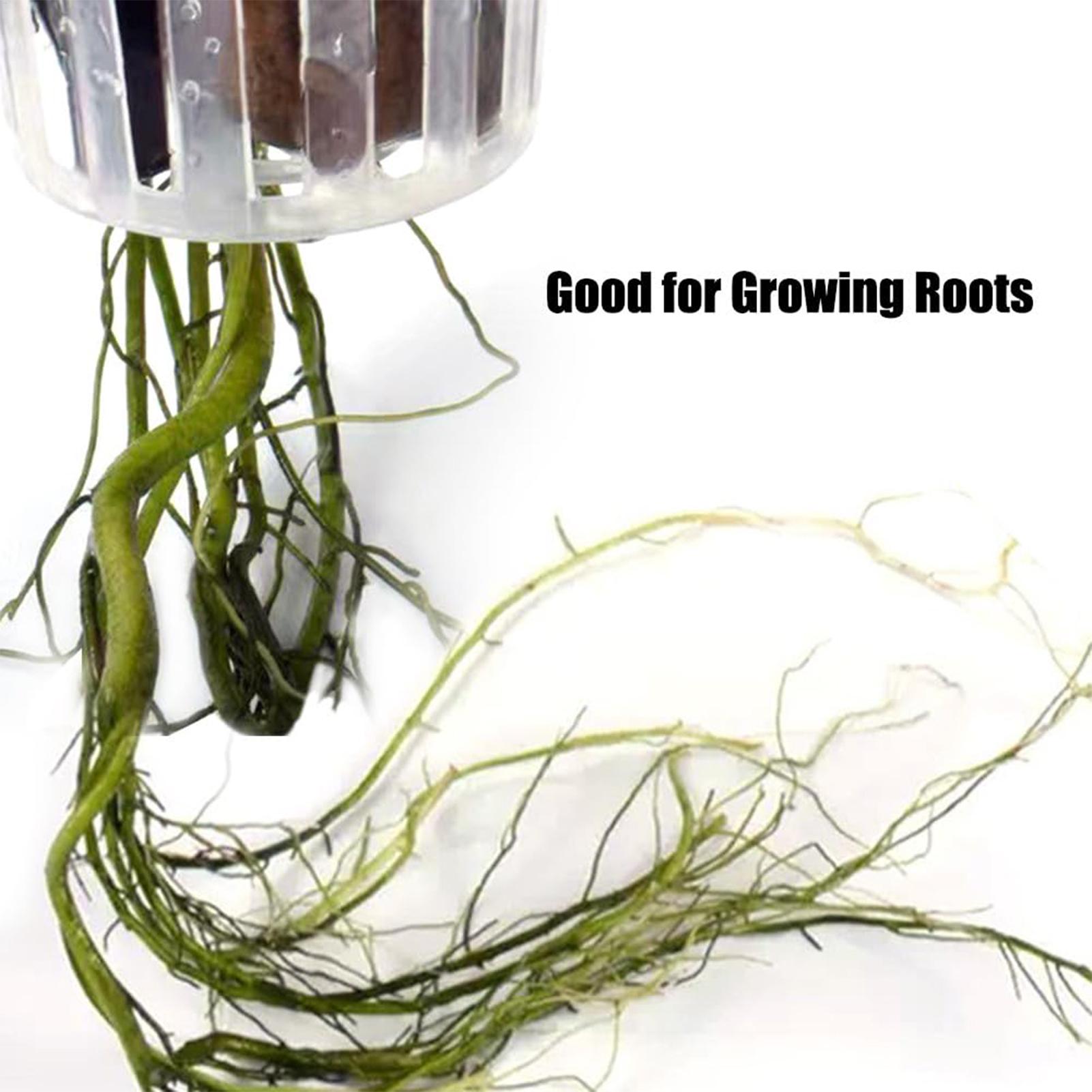 2 sztuki – uchwyty do roślin w – Aquarium Plant Holder recenzja i cena