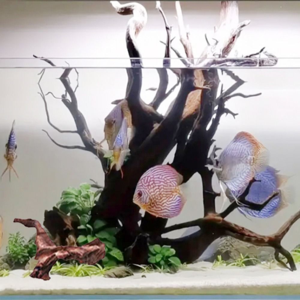 Kreatywne, nieregularne kształ – Aquarium Plant Substrate recenzja i cena