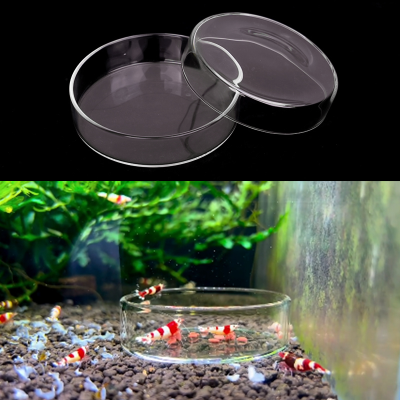 Miseczka do karmienia krewetek – Aquarium Fertilizer recenzja i cena