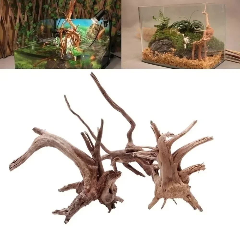 Dekoracja do akwarium z natura – Aquarium Moss recenzja i cena