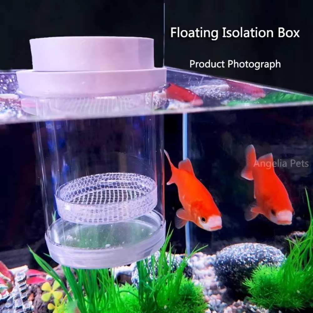 Plastikowe pływające pudełko i – Aquarium Fertilizer recenzja i cena