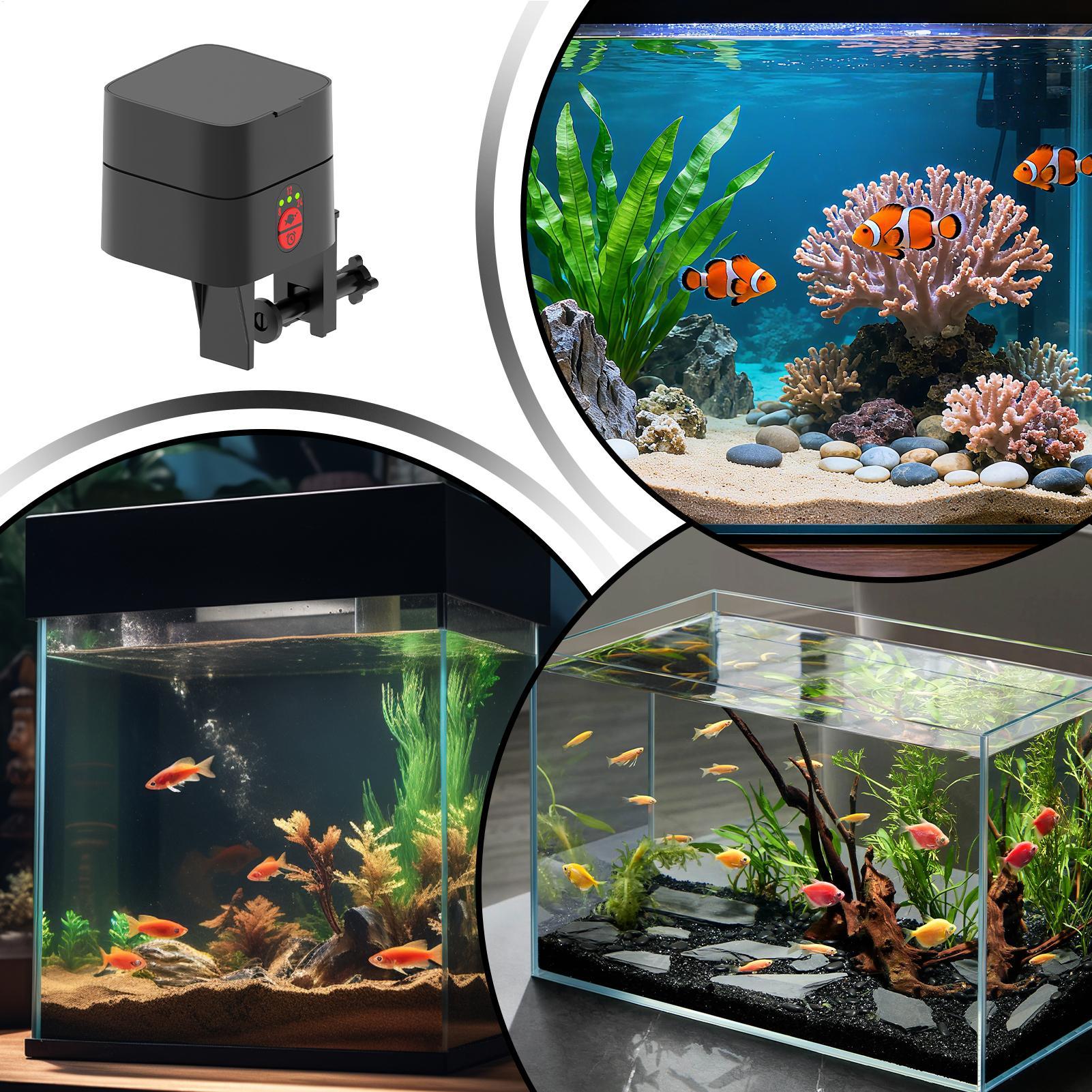 Automatyczny podajnik karmy dl – Aquarium Fertilizer recenzja i cena