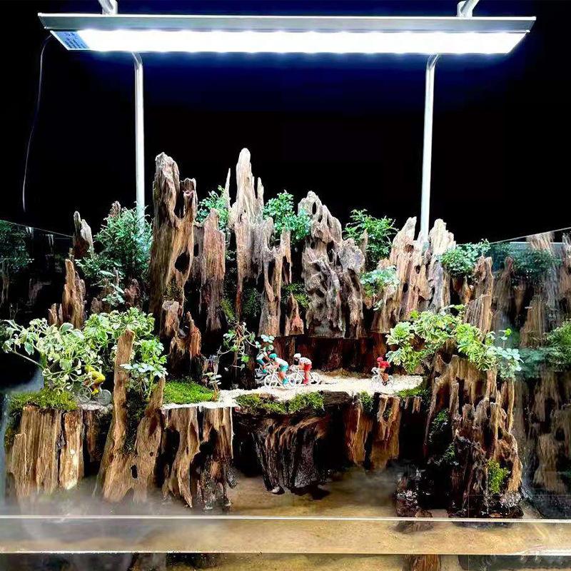 △   Dekoracja akwariowa z drew – Aquarium Driftwood recenzja i cena