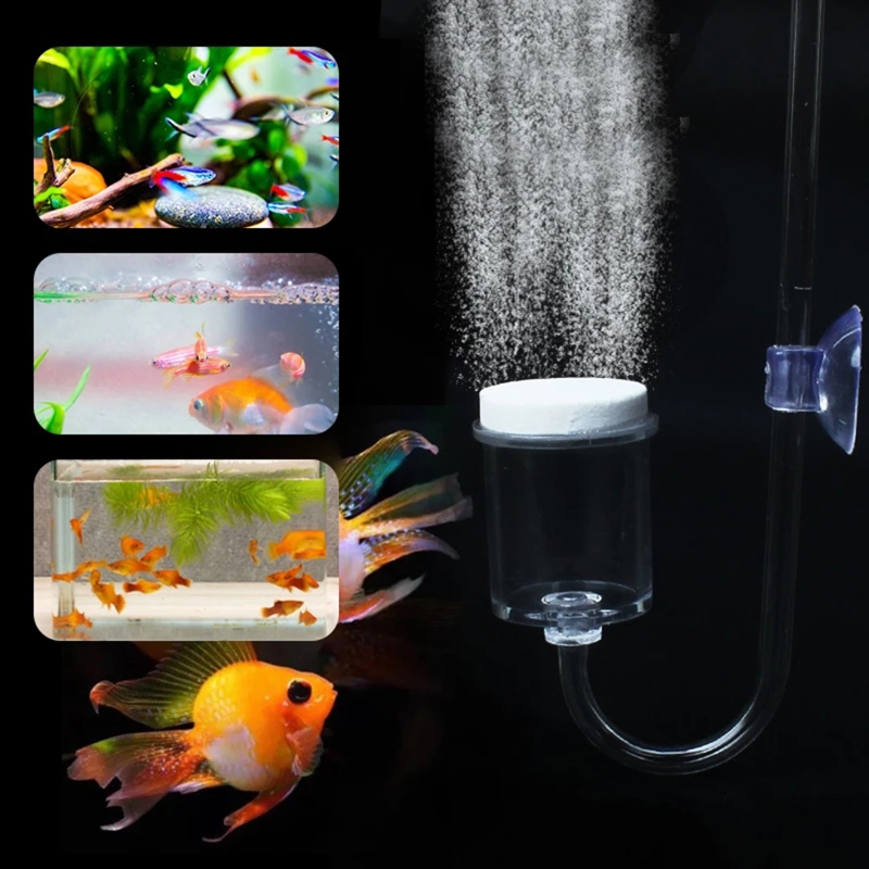 4szt Zestaw DIY Dyfuzor CO2 do – Live Plant Aquarium recenzja i cena