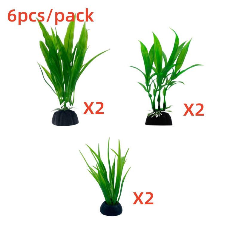 6 paczek rośliny akwariowe, de – Live Plant Aquarium recenzja i cena